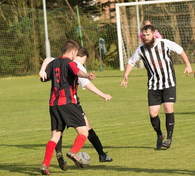 術智慧與人 術智慧與人