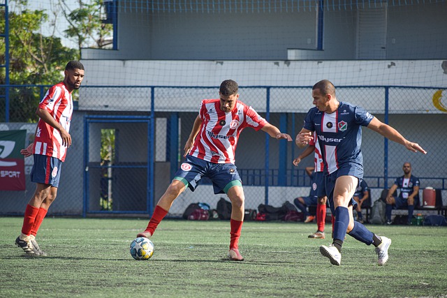 提供了宝贵 提供了宝贵