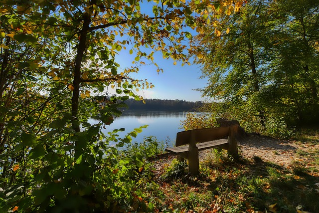 星球员的个 星球员的个