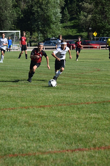 的关键力量 的关键力量