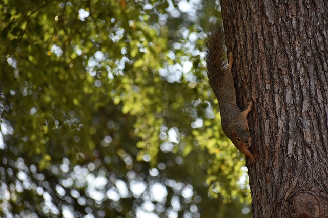 总的来说 总的来说