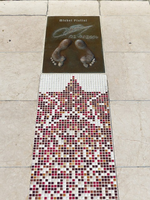 已形成了一 已形成了一